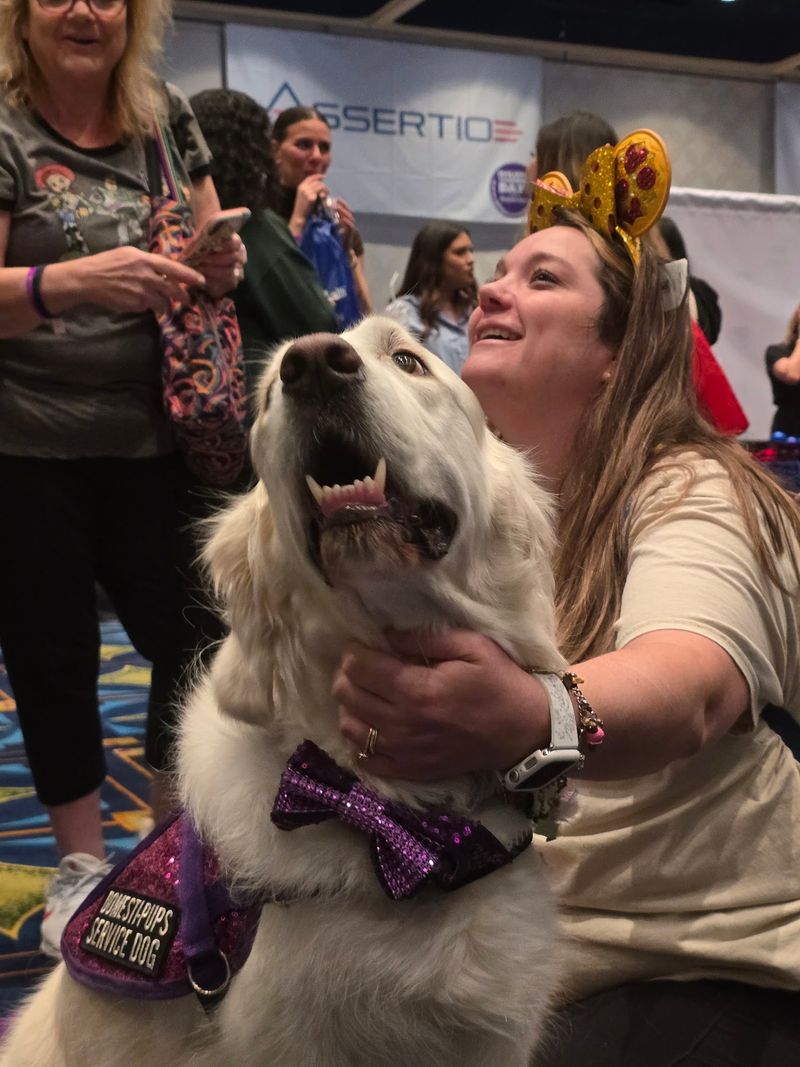 Ding Dong, A Dog Is Calling For Backup