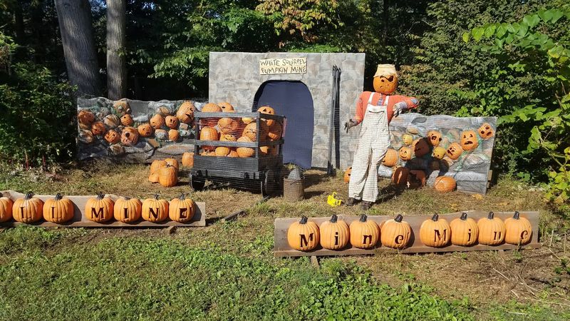 Thousands Of Visitors Help Turn This October Tradition Into A Mansion Fundraiser