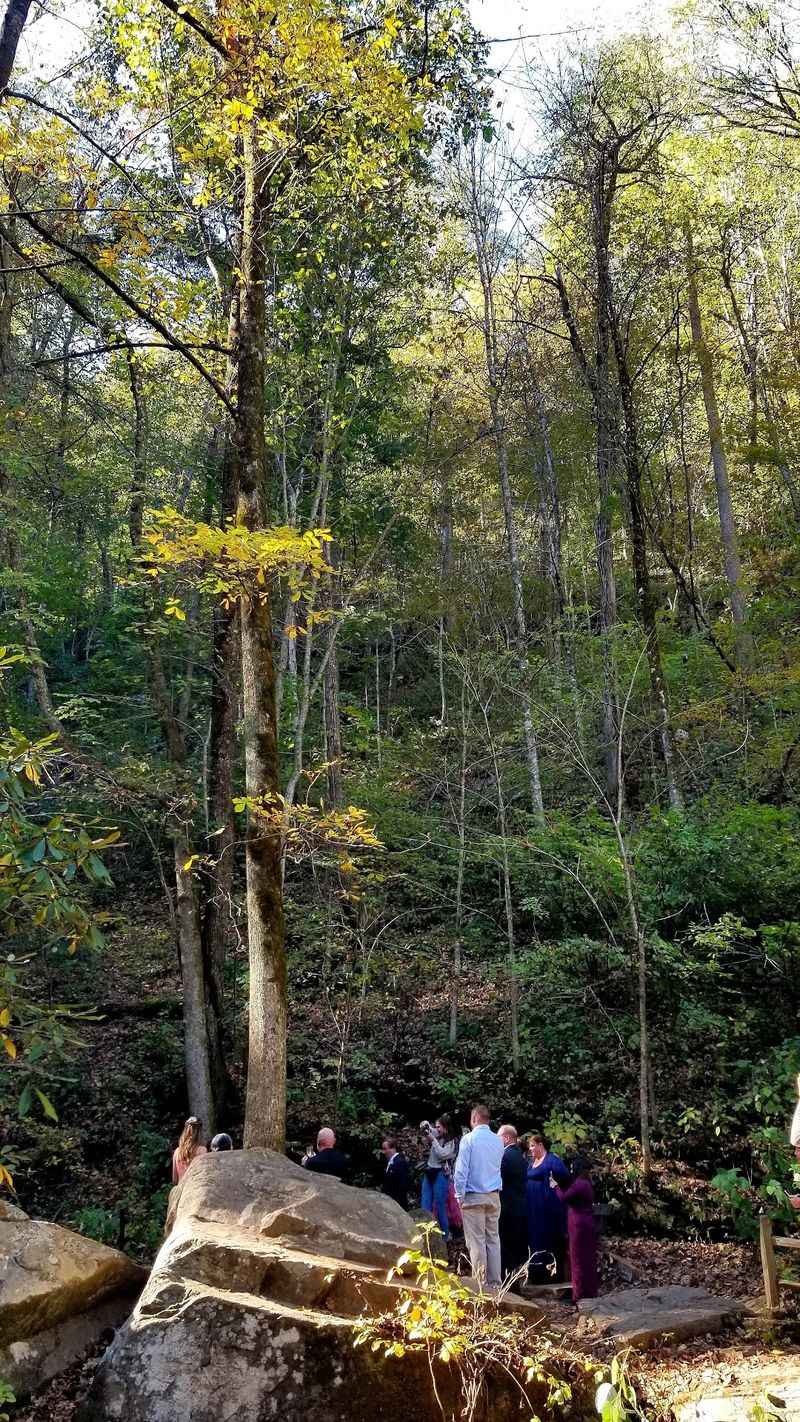 Bring Your Wildflower App, Because The Glen Is Showing Off
