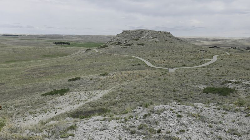 The Fossil Hills Trail Leads Straight To The Dig Sites