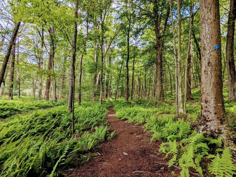 New York Has 10 Reasons Tourism Is Set To Surge - Decor Hint Clarence Fahnestock Memorial State Park