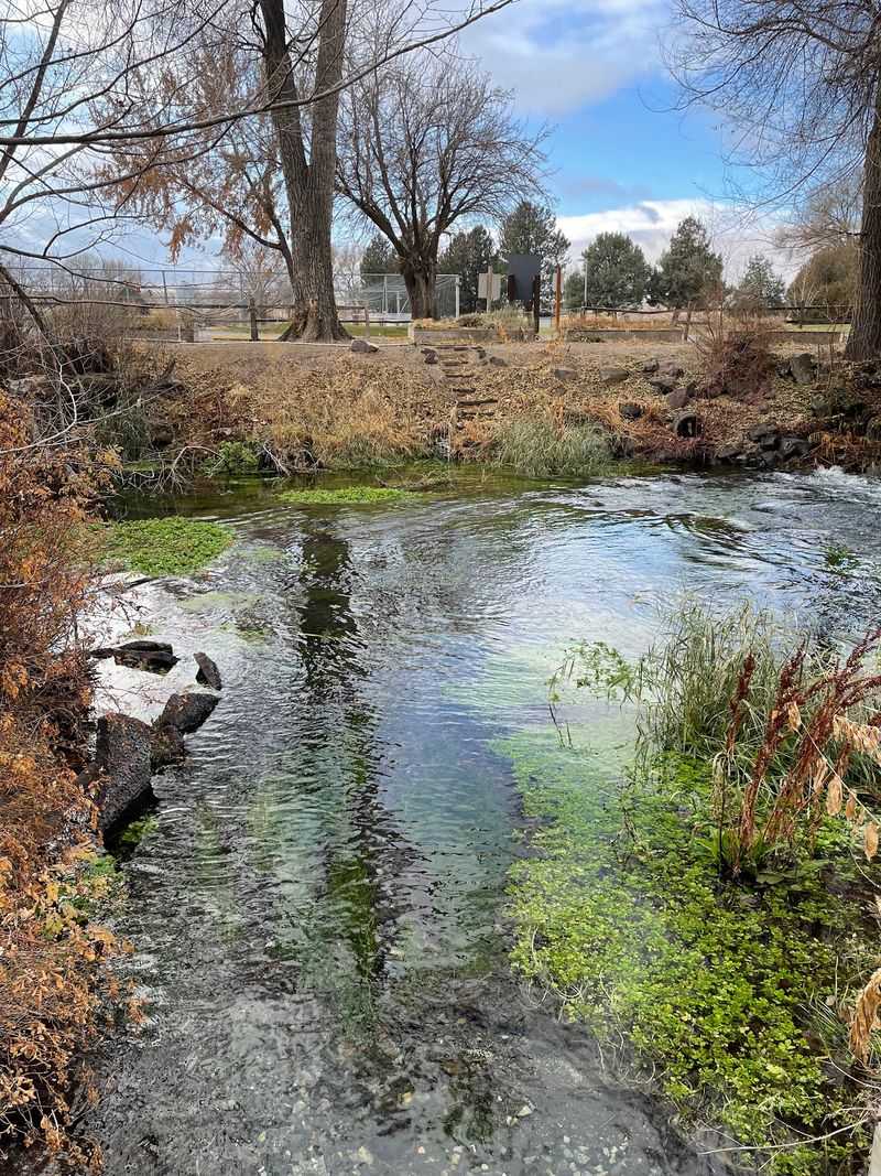 Picnic Tables, A Pollinator Garden, And Room To Breathe