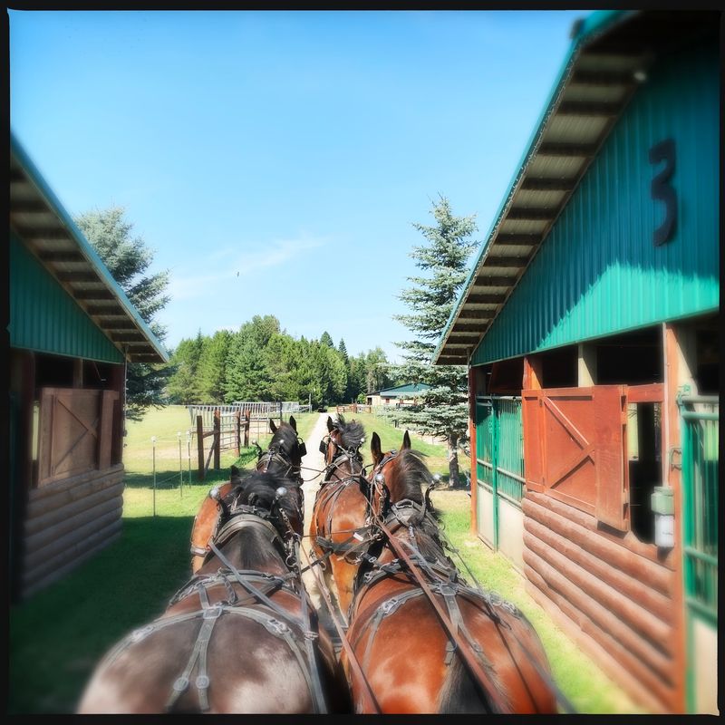 Log Homes, Big Barns, And Eighty Acres Of Room