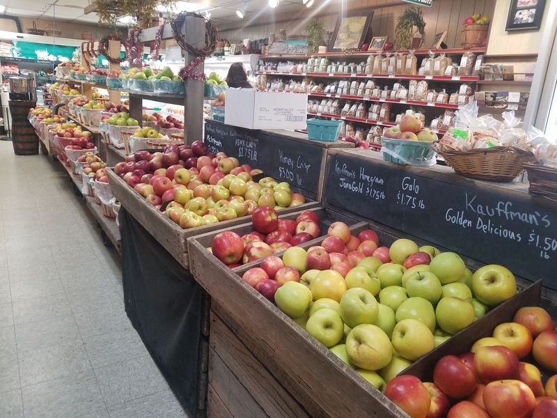 Forty-Plus Apple Varieties Make Choosing Delightfully Difficult
