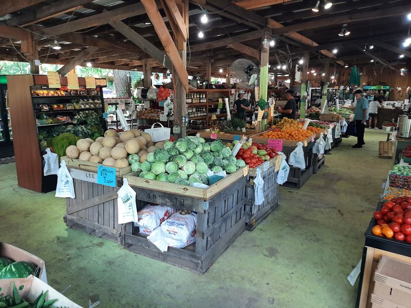 Mater Sandwiches, Boiled Peanuts, And Other Mountain Snacks