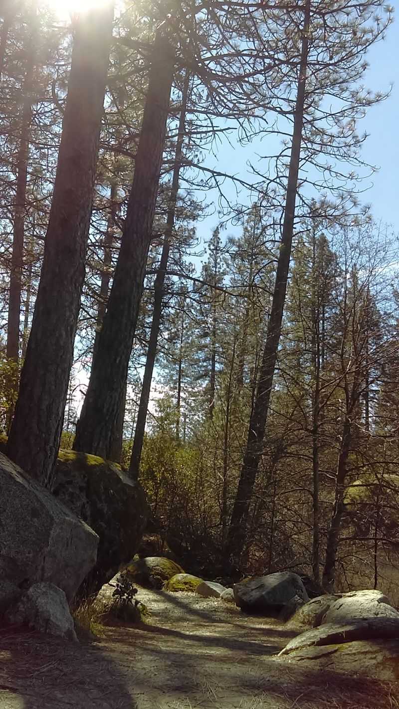A Short Walk Leads Right To The Water