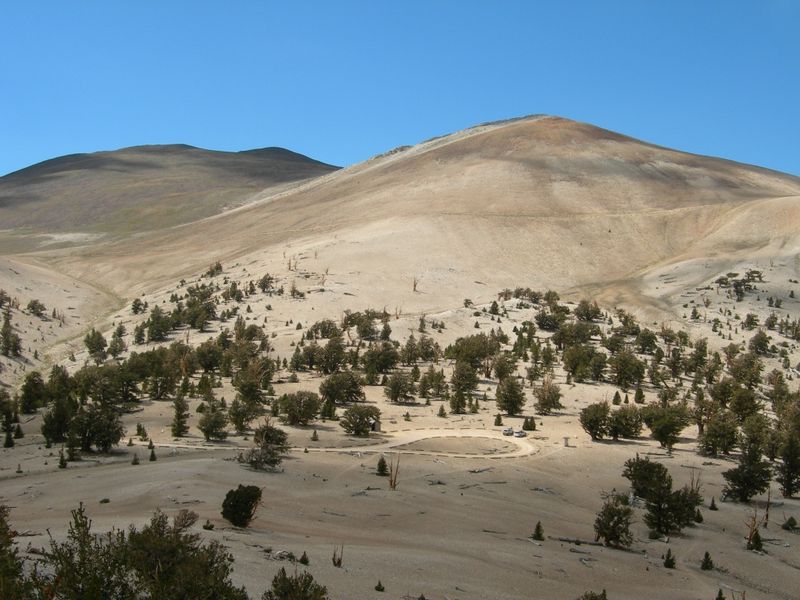 The Final Stretch To Patriarch Grove Requires Driving On An Unpaved Road