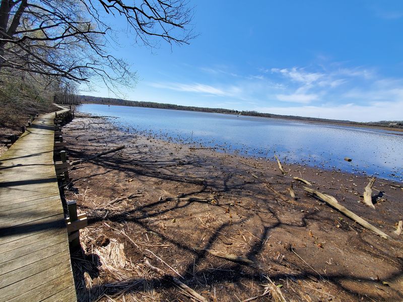 Nothing Beats A Hike Through This Peaceful 1,700-Acre Maryland Sanctuary - Decor Hint A Tiny Desert Grows In A Giant Wetland