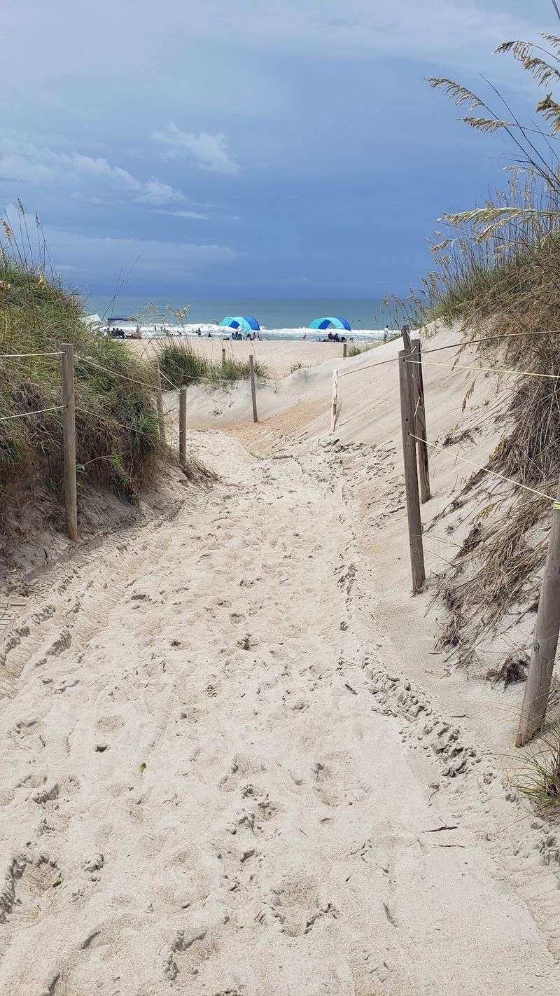 Trails Wind Through Marsh, Forest, And Dunes