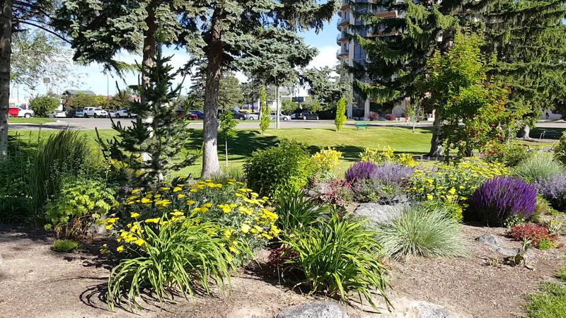 A Quiet Japanese Garden Across The Road