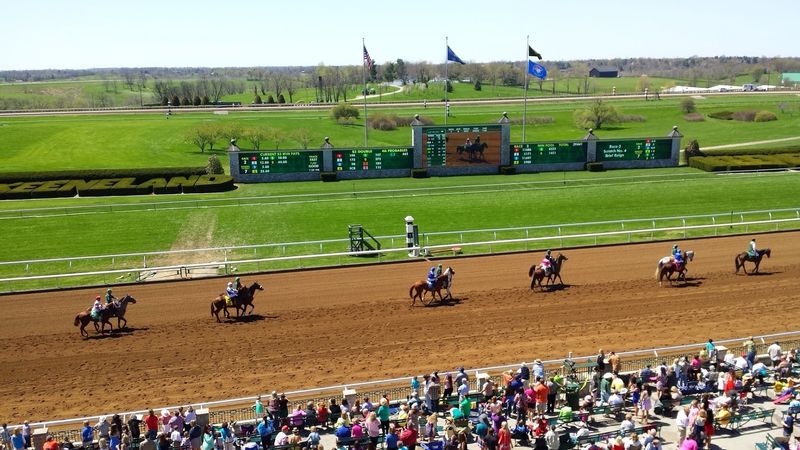 The World’s Best Racehorses Are Coming To Kentucky This Month, And You Can Watch Them In Person - Decor Hint The Breeders' Cup Brings Fourteen Championship Races To One Weekend