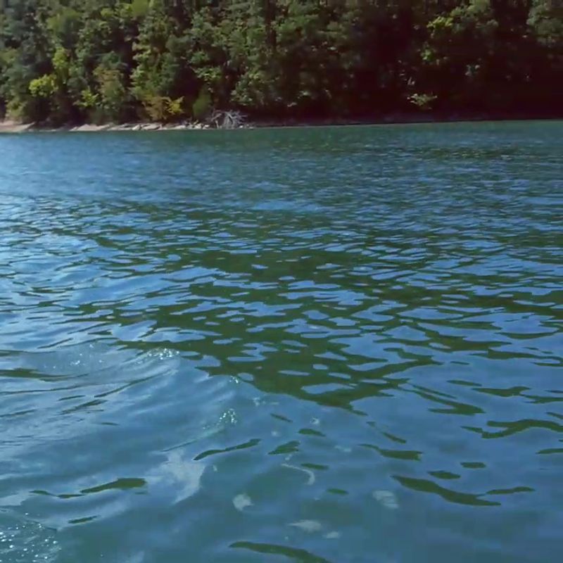 That Tahoe-Blue Water Is Real, And Science Explains It