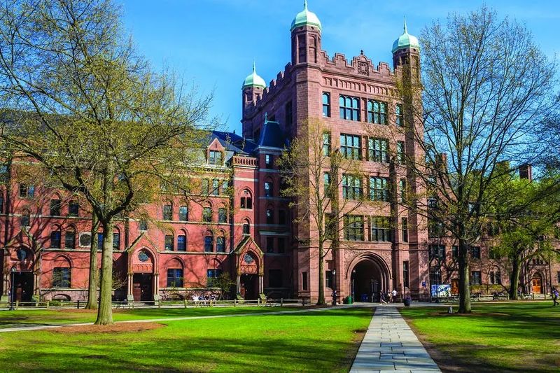 Yale University, New Haven