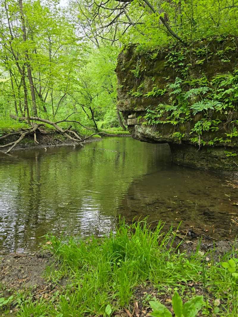 Seven Trails Lead To Bluffs, Creeks, And Mossy Cliffs