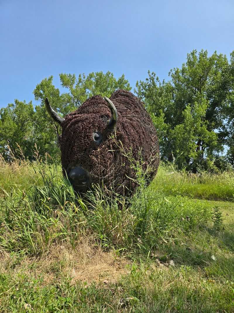 Barbed Wire Art That Fools Your Eyes From A Distance