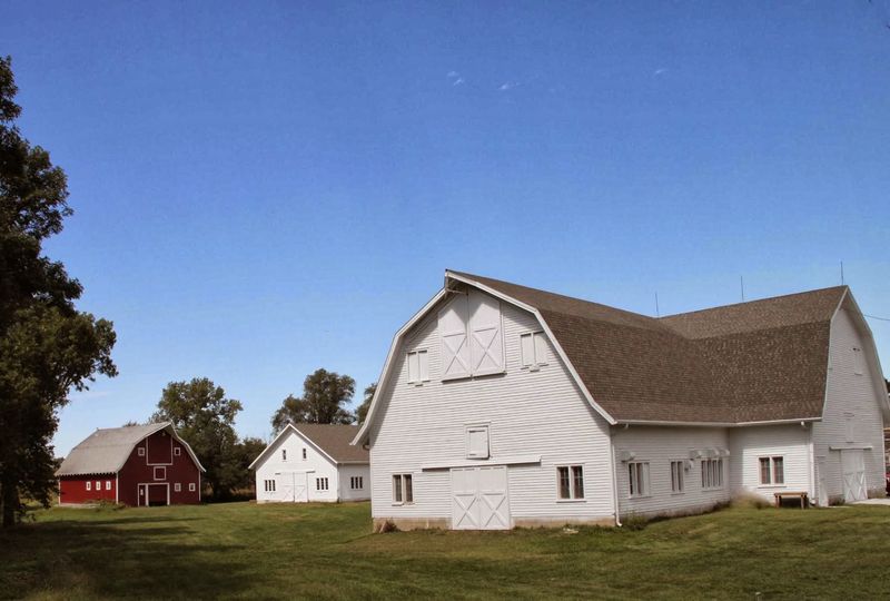 This Nebraska Farm Center Offers A Hands-On Outdoor Adventure For The Whole Family - Decor Hint Summer Camps With Names Kids Actually Want To Say Out Loud