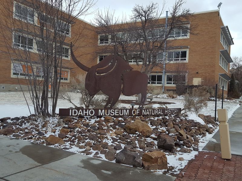 The Pocatello Deep Freeze