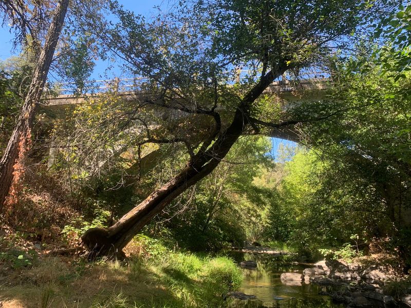 The Weber Creek Trestle Is The Main Attraction