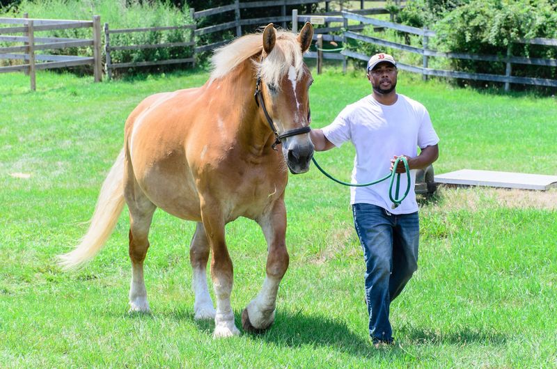 Horses And People Connect In A Remarkably Peaceful Setting
