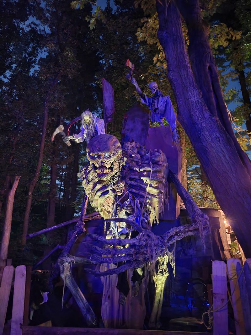 Darkness Turns The Woods Into Something Sinister