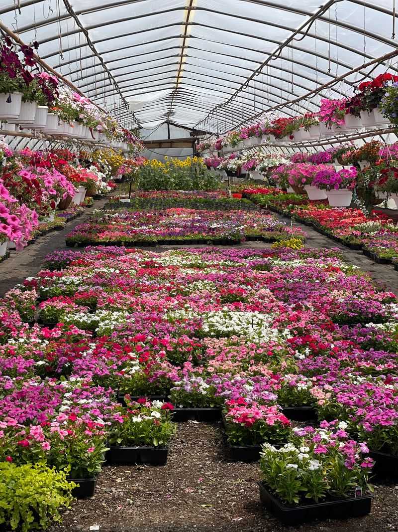 A Family Farm With Deep Roots