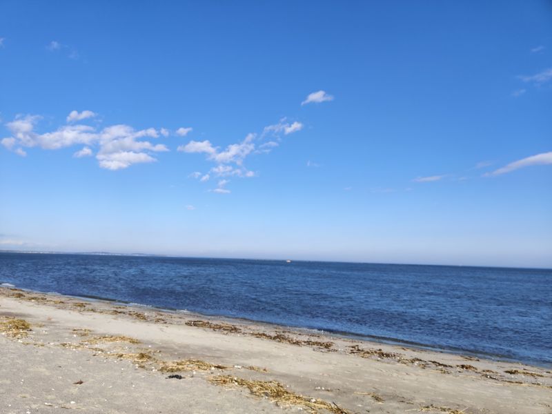 The Ranking Makes Sense Once You See the Shoreline
