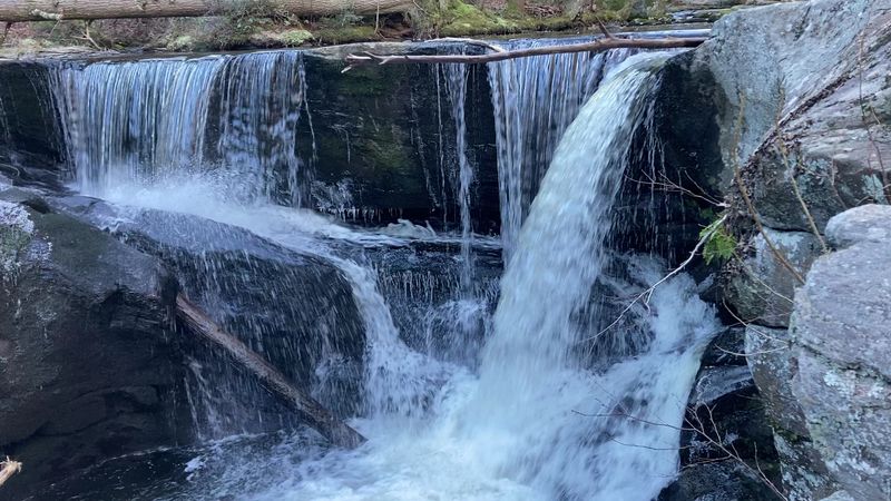 Several Waterfalls Reward One Short Woodland Walk