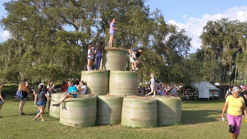 A Working Farm That Throws a Fall Party