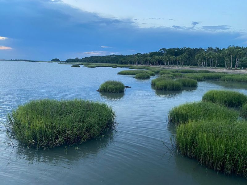 This Georgia Coastal Town Draws So Many Visitors That Finding A Quiet Beach Can Be A Challenge - Decor Hint A Toll Gate That Opens Onto A Whole State Park
