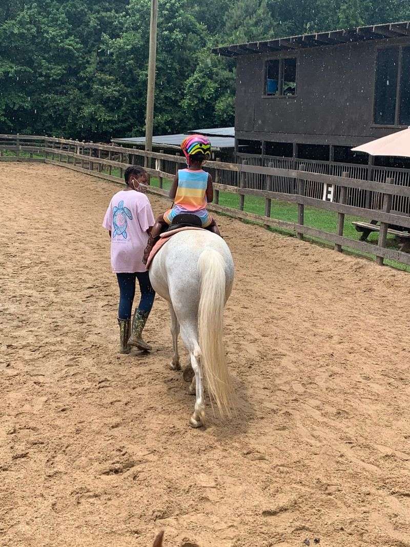 A Barn Where You Actually Get Your Hands Dirty