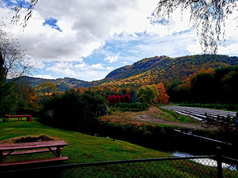 A Valley That Paints Itself Every October