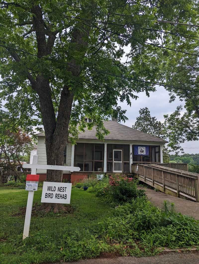 This Georgia Nonprofit Gives Injured Wild Birds A Second Chance At Flying Free - Decor Hint A Small Cottage With A Giant Mission