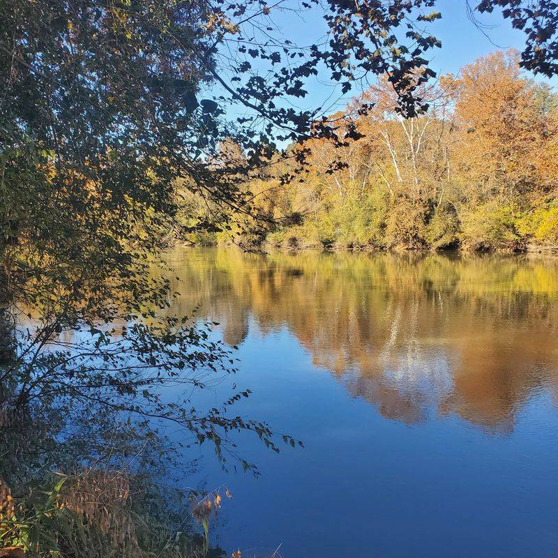 This Georgia Park By The River Is A Beautiful Place To Spend A Fall Day - Decor Hint A River That Bends Around Thousands Of Acres