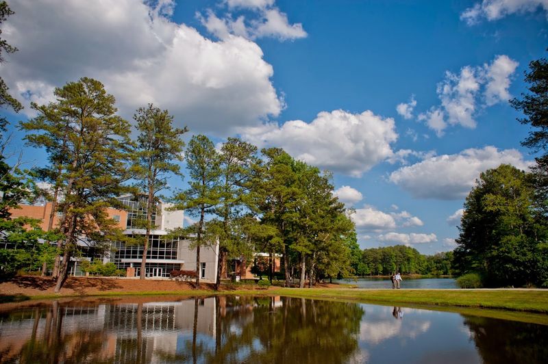 This Georgia University Ranked No. 1 Among Small Colleges And Its Affordable Education Is Turning Heads - Decor Hint A No. 1 Ranking That Caught Me Off Guard
