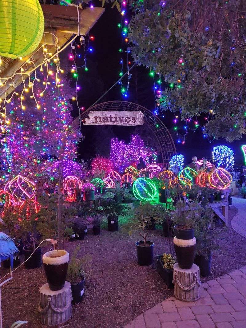 This German-Inspired California Christmas Market Has 3 Million Twinkling Lights And Old-World Holiday Magic - Decor Hint Three Million Christmas Lights Turn The Grounds Into A Winter Wonderland