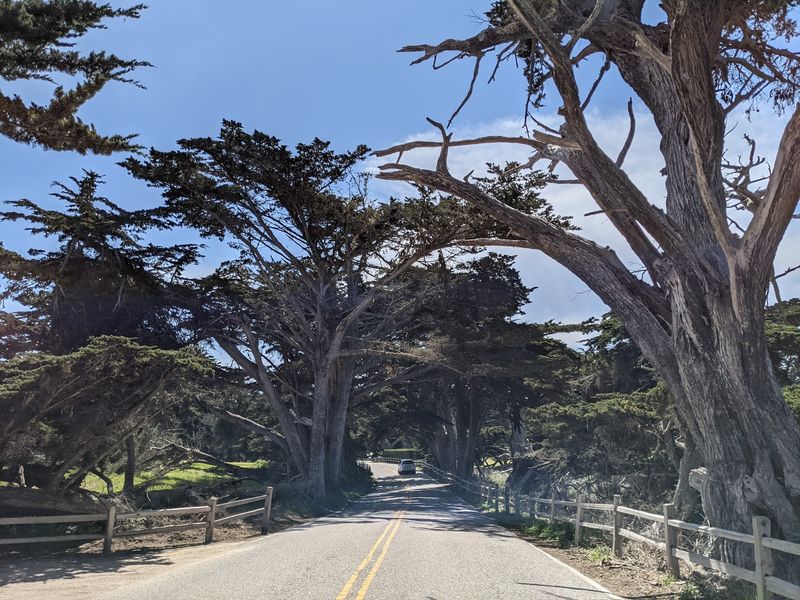 This Historic 17-Mile California Scenic Drive Still Offers Some Of The Most Breathtaking Coastal Views - Decor Hint A Carriage Road From 1881 Still Steals The Show