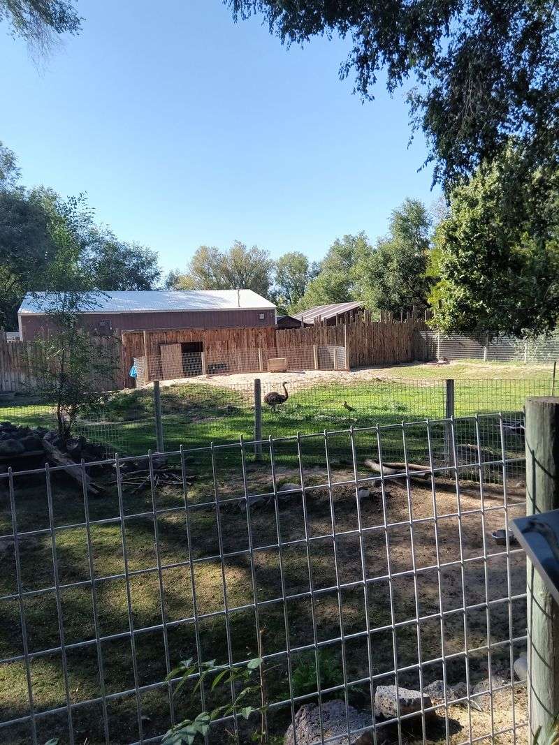 This Idaho Zoo Lets You See The State's Wildest Animals Up Close - Decor Hint A Zoo Inside a City Park