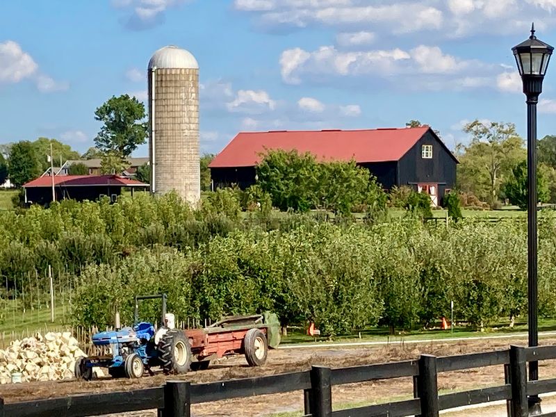 This Kentucky Apple Orchard Was Named The Best Place In The State To Go Apple Picking - Decor Hint Five Generations Built This Apple Lover's Playground