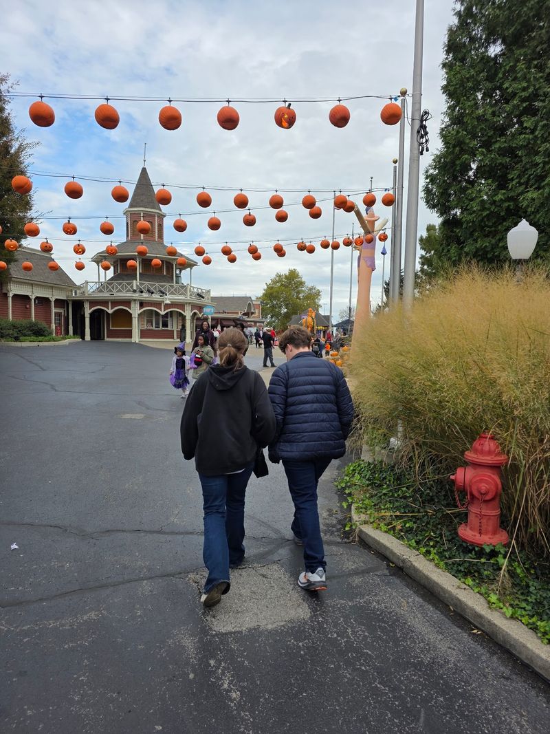An $8 Million Gamble That Lit Up The Whole Park