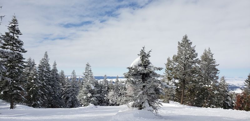 The Ski Hill Sitting On Top Of The Camas Prairie