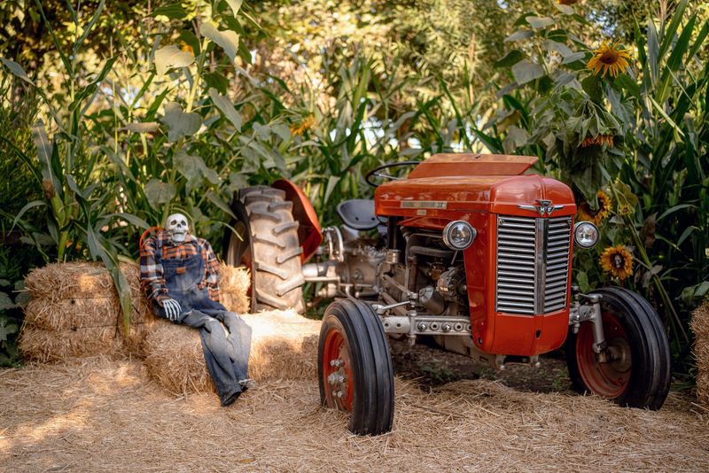 The First Haunted Maze In 45 Years