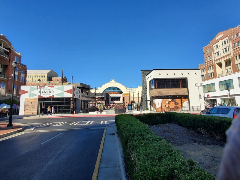 A Former Fashion Store Turns Into A Jungle