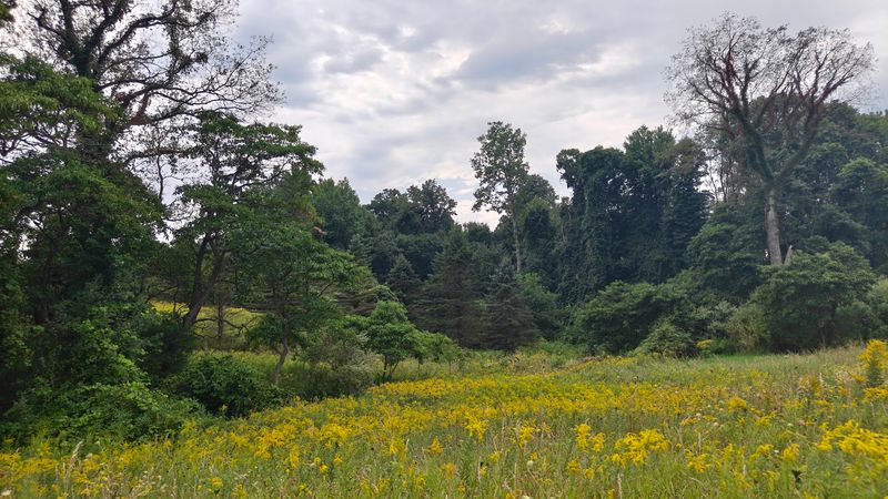 The Sky-Blue Bird That Puts This Place On The Map