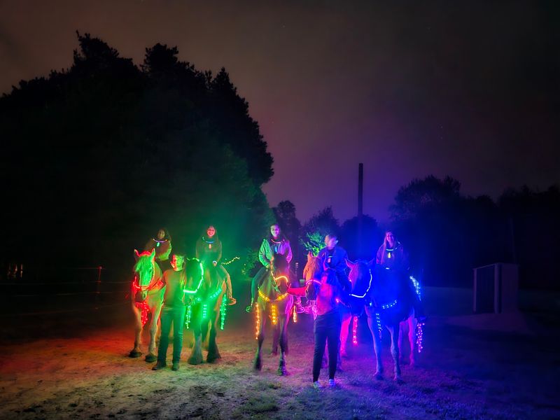 Glowing Hooves In The Dark Woods