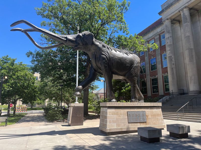 A Natural History Treasure Chest Parked On A College Campus