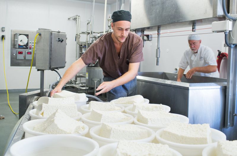 This North Carolina Goat Dairy Produces Some Of The Creamiest Goat Cheese In The State - Decor Hint Fresh Goat Milk Becomes Seriously Creamy Cheese Inside This Working Dairy