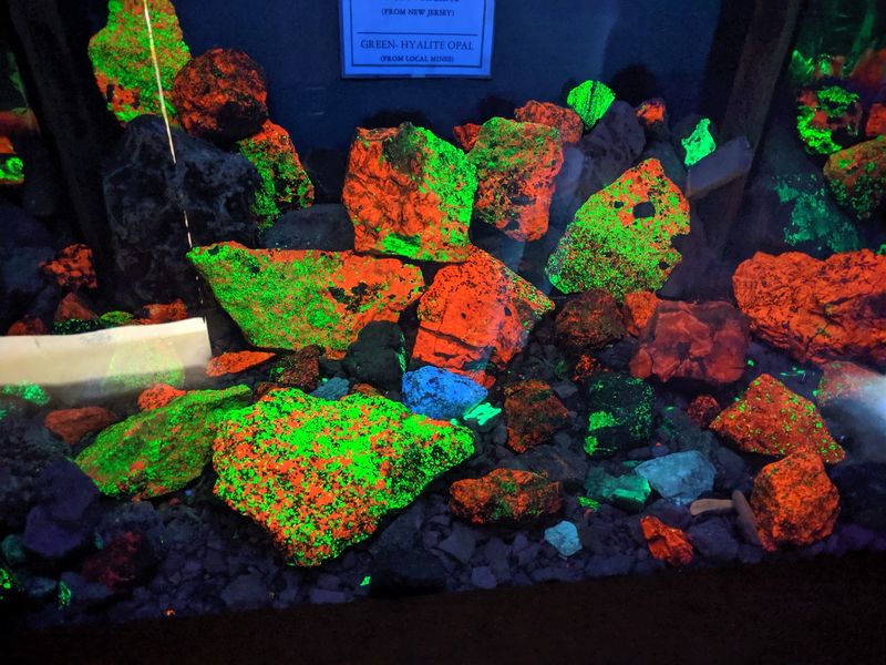 The Walls Turn Electric Green When The Lights Go Out