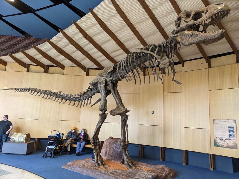 Fourteen Giant Skeletons Are Waiting For You In One Room