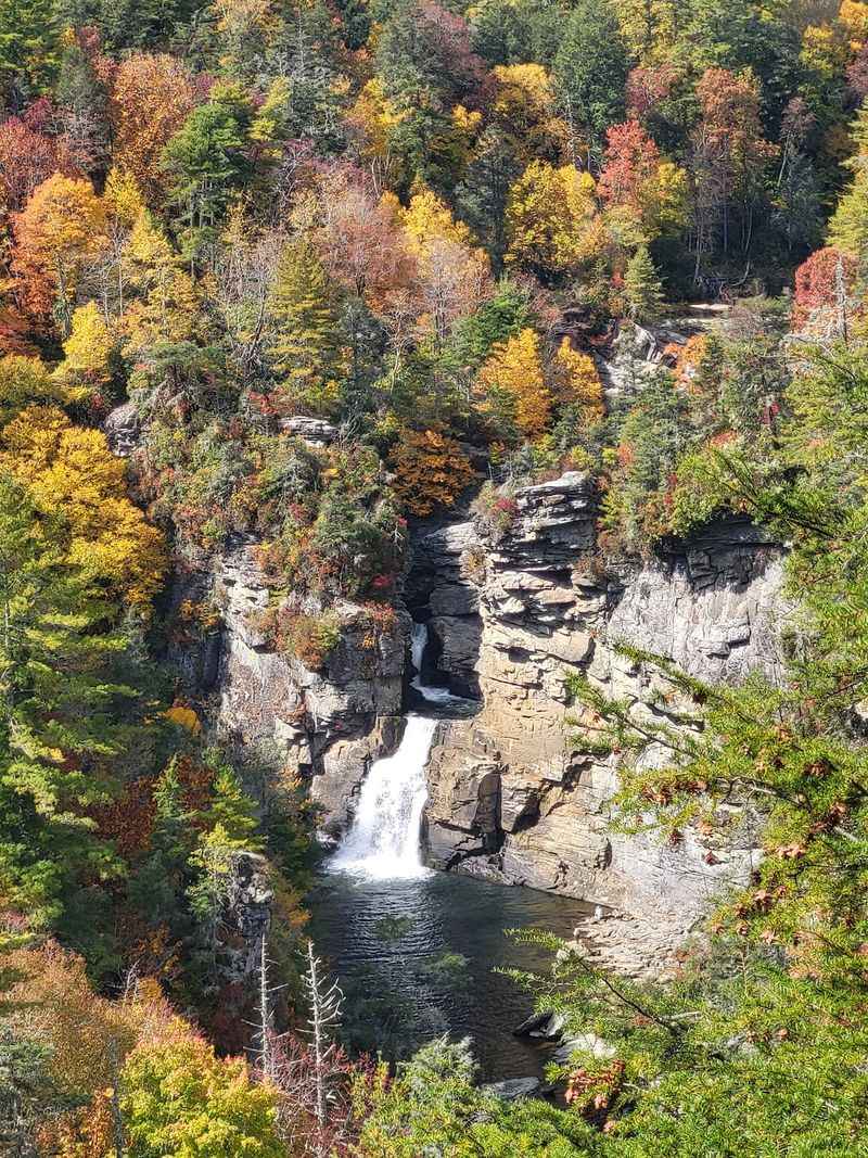 This North Carolina Waterfall Is Surrounded By Brilliant Fall Colors Right Now, And The Views Are Worth The Hike - Decor Hint A Waterfall That Refuses To Do Things The Simple Way