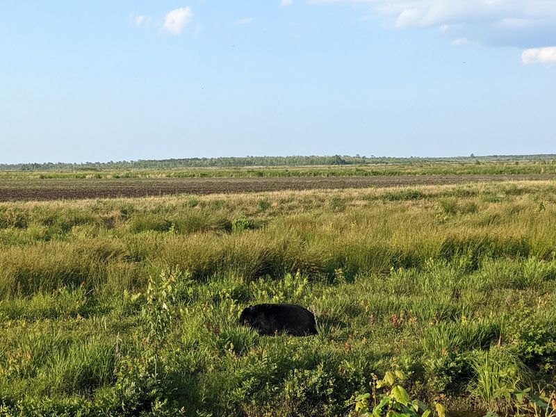 More Than 60 Wildlife Adventures Turn Six Days Into A Nature Lover’s Dream